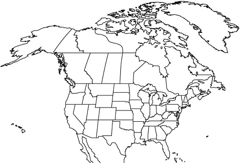 North America Small